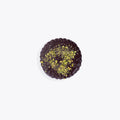 Sablés Gourmets - Pistachio Chocolate Sablé